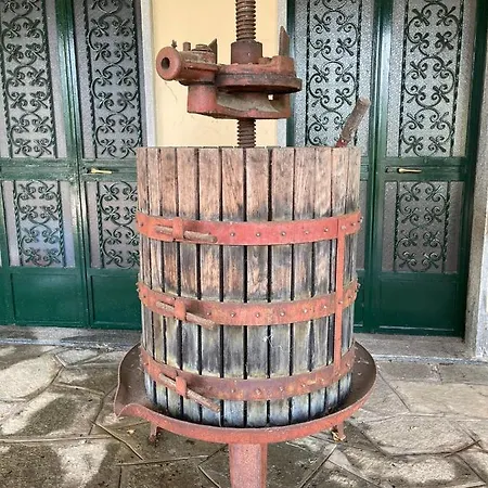 Martini Dei Rossi Sanfre