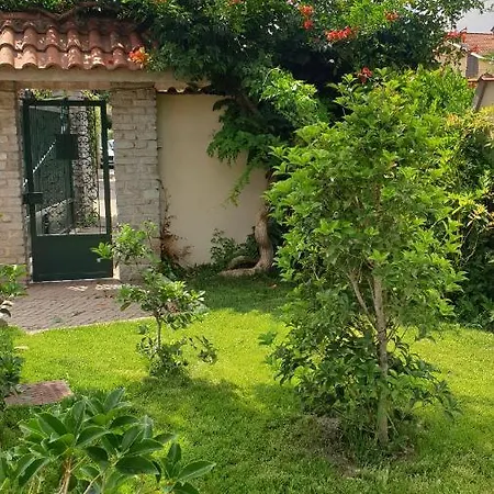 Martini Dei Rossi Sanfre