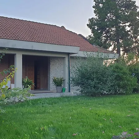 Martini Dei Rossi * Sanfre