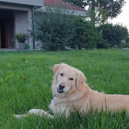 Martini Dei Rossi Villa