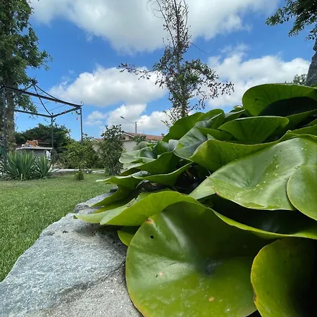 Martini Dei Rossi Sanfre