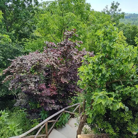 Villa Martini Dei Rossi *