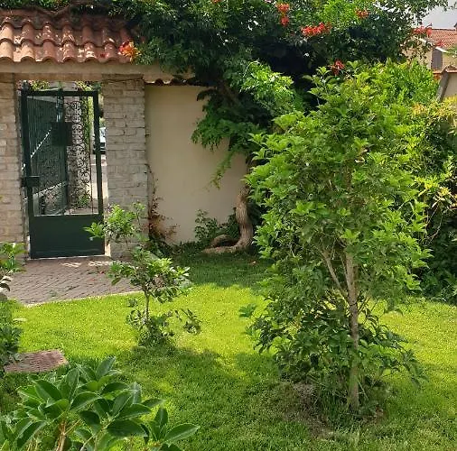 Martini Dei Rossi Sanfre