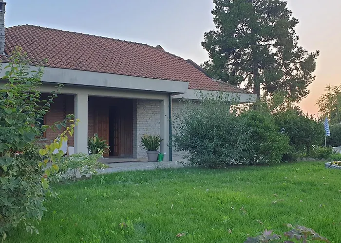 Martini Dei Rossi * Sanfre