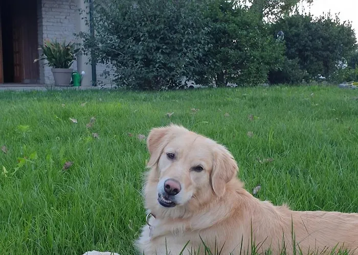 Martini Dei Rossi Villa