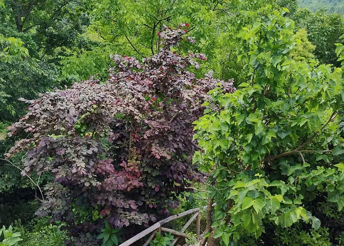 Villa Martini Dei Rossi *